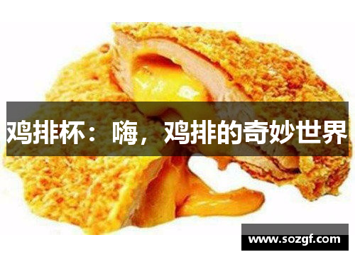 鸡排杯：嗨，鸡排的奇妙世界